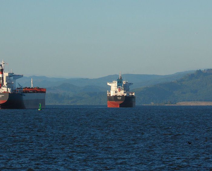 Panama joins GloFouling Project to tackle aquatic invasive species introduced by ships’ biofouling